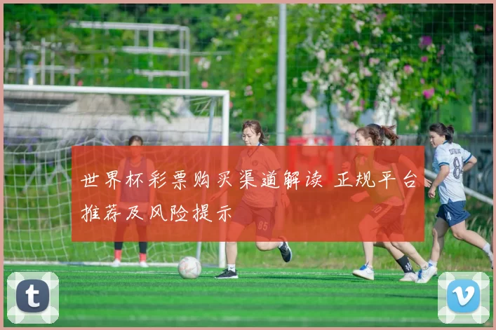 世界杯彩票购买渠道解读 正规平台推荐及风险提示